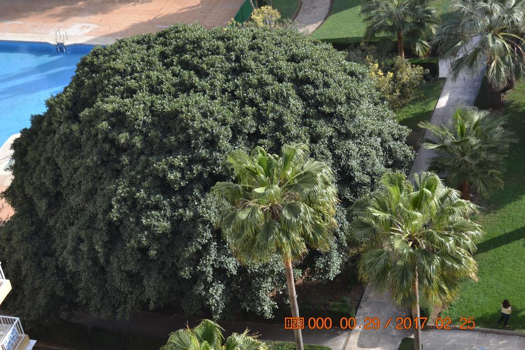Hercules Apartment Benalmadena Luaran gambar